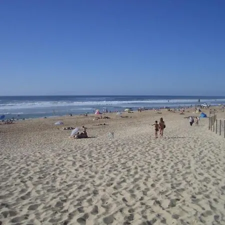 Dune 布科·莱斯白老城