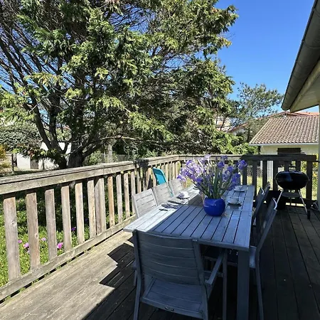 Dune 度假居 布科·莱斯白老城